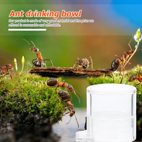 Ant Water Feeder Bowl with Separate Feeding Port Transparent Acrylic Mini Water Dish for Ants Nest Hydration and Nature Observation 1.53X1.29X1.18 Inch 2 Pack