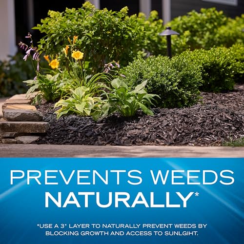 Scotts Nature Scapes Color Enhanced Mulch Deep Forest Brown, Bulk Pallet | Wood Shredded and Bagged, Brown Mulch for Landscaping, 1.5 cu. ft., 80-Bag Pallet
