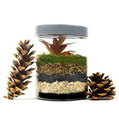Mosser Lee ML0810 Horticultural Charcoal, 2.25 dry qt.