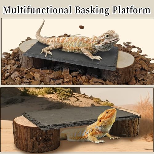 Bearded Dragon Basking Platform,Reptile Basking Platform Slate Rocks with Wooden Pile,Leopard Gecko Hides and Caves Climbing Tank Accessories for Lizards Snakes Tortoise Ball Python(Small)