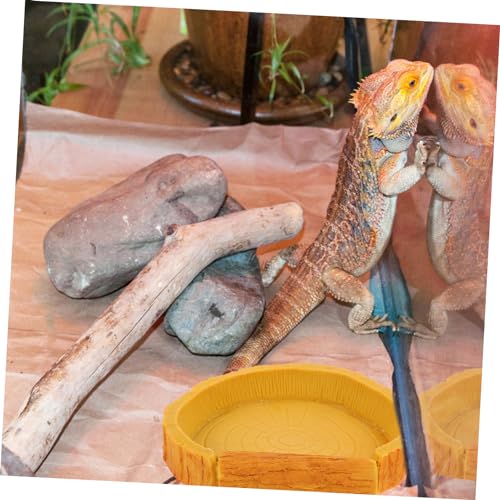 HANABASS Reptile Water Bowl and Food Basin for Tortoise Lizard Non- Design Stable Structure for Feeding and Drinking for Terrarium Decor and Reptile Care
