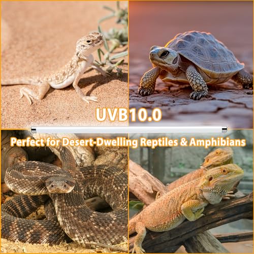 2 Pack T5 HO 10.0 UVB Reptile Bulb 24W, 22-Inch UVA UVB Light for Reptiles, Fluorescent Lamp Tube for Bearded Dragons, Turtles, Chameleons, Lizards, Tropical Desert UVB Lighting - size: 24W-22 Inch-T5 Bulb-2 Pack
