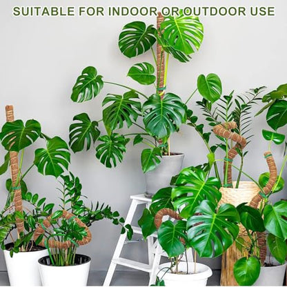 Moss Pole Monstera Plant Support, 2 Ft, 2 Pack Sustainable Coir Bendable Moss Pole Stakes, Plant Sticks for Climbing Vines, Pothos, Potted, Comes with Velcro Tape and Hemp Rope