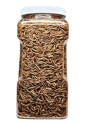 Mealworms- Freeze Dried Mealworms for Tropical Fish, Pond Fish, Reptiles, Turtles, Tortoises, Frogs, Hamsters, Birds, Rodents…10oz Med Jar