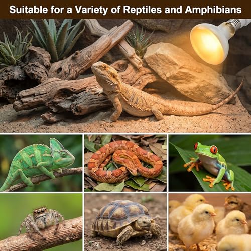 100W Reptile Heat Lamp, 2Pack Reptile Heat Lamp Bulbs, UVA Natural Daylight Reptile Basking Bulbs for Reptiles, Bearded Dragon, Lizard, Chicken, Turtle, Snake