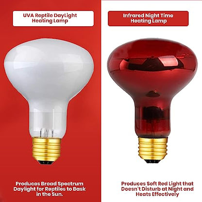 75 Watts UVA Reptile Heat Lamp Bulbs Basking Light for Reptiles and Amphibian, Basking Light for Bearded Dragon, UVA Reptile Light Bulb E26 Base 2 Pack - style: 75WR25-WHITE-2PK