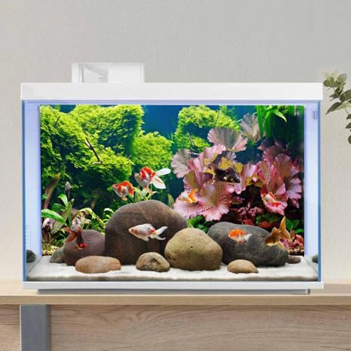 AWERT 36x24 inches Aquatic Plant Aquarium Background River Bed & Lake Fish Tank Background Vinyl - size: 36x24in/90x60cm