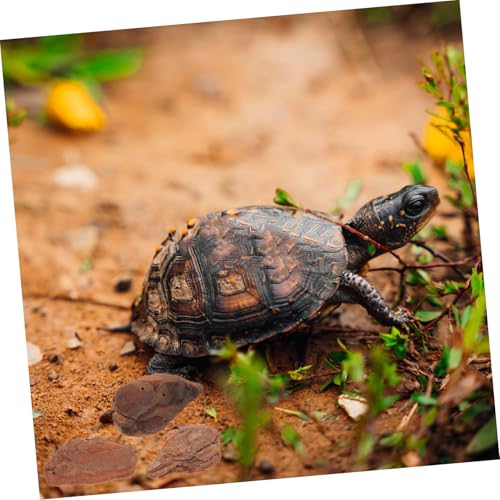 Mikikit Natural Reptile Bark Bedding for Terrariums 1kg Decor Bark Chips for Tortoises Lizards and Snakes Substrate for Reptile Habitats