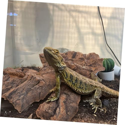 Yardwe 14Pcs Natural Cork Bark Reptile Hideout and Climbing Platform Multi-Functional Habitat Decor for Bearded Dragon Gecko Snake Terrarium Accessories