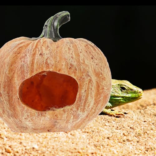 Amosfun Resin Pumpkin Reptile Hideout 3-Inch Terrarium Decor for Lizards Frogs Turtles Naturalistic Reptile Tank Shelter Cave