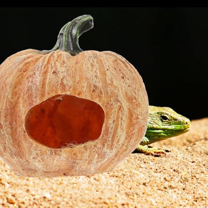 Amosfun Resin Pumpkin Reptile Hideout 3-Inch Terrarium Decor for Lizards Frogs Turtles Naturalistic Reptile Tank Shelter Cave