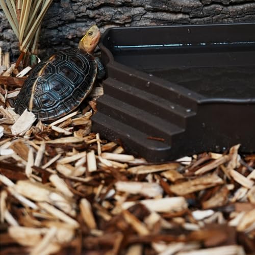 Reptile Water Feeder Automatic Water Dispenser with Ramp Extra Large Reptile Bathing Pool for Gecko, Snake, Turtle, Bearded Dragon, Lizard Bath Aquarium Ornament - size: without Bottle