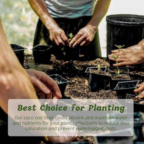 Premium Organic Coconut Coir Bricks - 12 Pack Coco Coir Bricks for Planting, Gardening, and Potting Soil Substrate. Low EC & pH Balanced 100% Organic Peat Moss Mix with Fiber from Coconut Husks - size: 12Pack