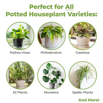 Perfect Plants Indoor Plant Soil 4qt | Perfectly Balanced Potting Mix | Gardening Substrate for All Varieties of Live houseplants - size: 4qts.