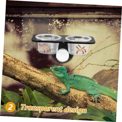 BESPORTBLE 3pcs Crested Gecko Accessories Pet Bowls Reptile Food Container Suction Cup for Tank Easy to