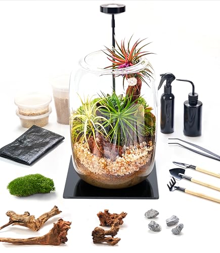 Terrarium Kit with Grow Light – 24-Piece DIY Glass Terrarium Set with Tools, Moss, Driftwood, Soil & Pebbles – Mini Gardening Kit for Air Plants, Succulents & Indoor Desk Decoration Gift - size: Round Set