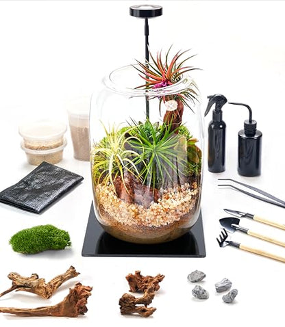 Terrarium Kit with Grow Light – 24-Piece DIY Glass Terrarium Set with Tools, Moss, Driftwood, Soil & Pebbles – Mini Gardening Kit for Air Plants, Succulents & Indoor Desk Decoration Gift - size: Round Set