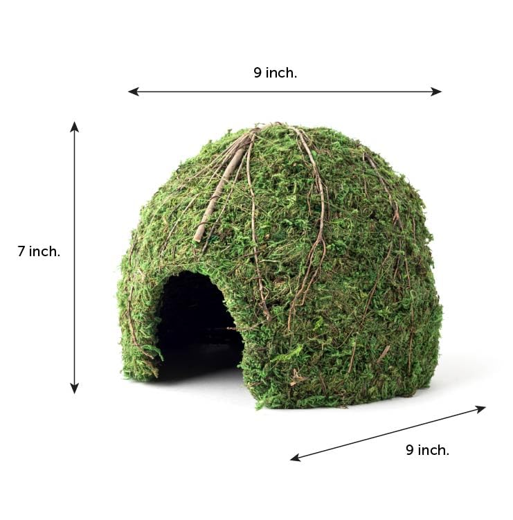 Galápagos (05368) Mossy Dome Hide - Natural Corner Cave for Reptile Enclosures, Terrariums, and Tanks, 9", Vined Green Moss