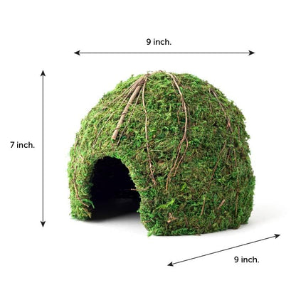 Galápagos (05368) Mossy Dome Hide - Natural Corner Cave for Reptile Enclosures, Terrariums, and Tanks, 9", Vined Green Moss