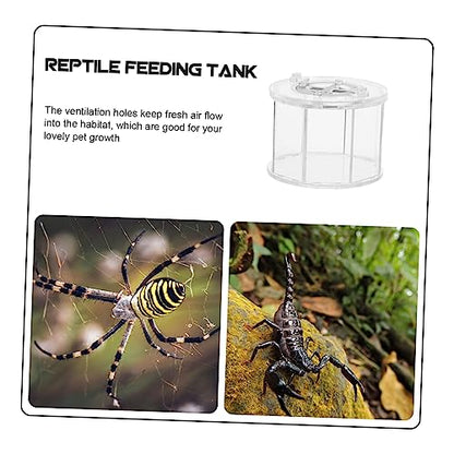 Transparent Acrylic Breeding Box for Reptiles and Pets Compact Display Case for Lizards Insects and Spiders Lightweight Easy to Use Habitat Holder