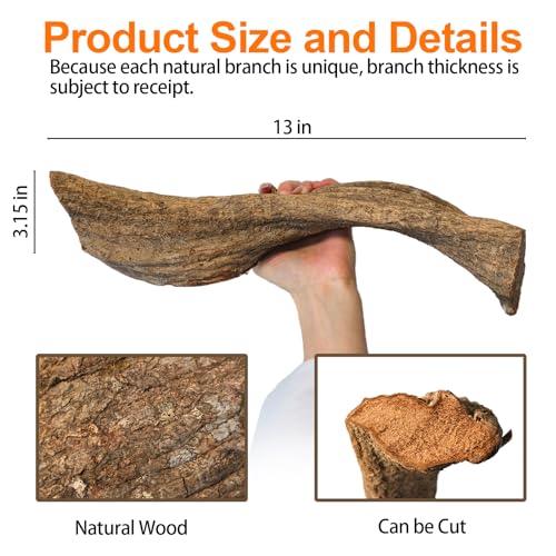 Tfwadmx Reptile Branches, Natural Reptile Corner Climbing Branch, Snake Climbing Branch Chameleon Cage Accessories Terrarium Plant Decoration for Gecko Snake Bearded Dragon (13 Inch)