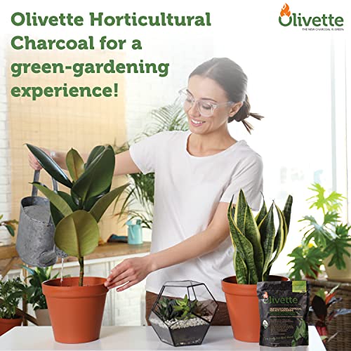 OLIVETTE Organic Biochar Activated Charcoal for Plants, 1 Bag | USDA Horticultural Charcoal, Moisture Control For Terrariums & Potted Plants, Biochar Soil Additive For Gardening - size: 1 Bag