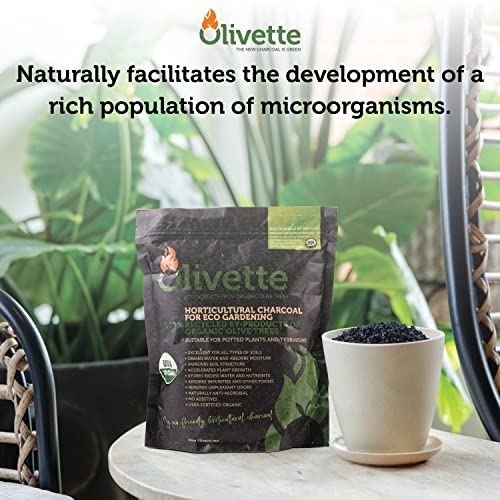 OLIVETTE Organic Biochar Activated Charcoal for Plants, 1 Bag | USDA Horticultural Charcoal, Moisture Control For Terrariums & Potted Plants, Biochar Soil Additive For Gardening - size: 1 Bag