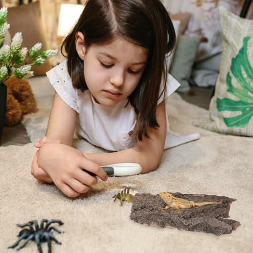 4pcs Natural Reptile Climbing Bark Decor for Terrariums for Lizards Bearded Dragons and Habitats Pet Environments