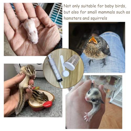 8 PCS Small Pet Feeding Syringe Sets, Baby Bird Feeding Syringe for Cats, Dogs Other Small Animal (Syringes, Milk Container, Spoons and Powder Spoons)