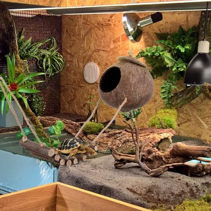 Homoyoyo Crested Gecko Coconut Hide with Ladder, Natural Reptile Hideout and Lizard Shelter Hanging Reptile Hideout Coconut Shell Hut for Lizard Tank Accessories, Terrarium Cave for Leopard Gecko