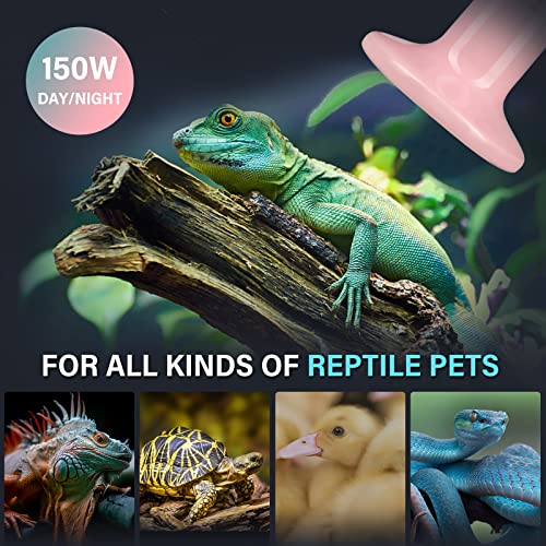 Simple Deluxe 150W 2-Pack Ceramic Heat Emitter Reptile Heat Bulb No Light, LCD Digital Aquarium Thermometer, for Reptile Amphibian, 2 Pack, Pink - color: Pink