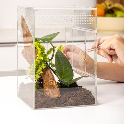EctoTherm Jumping Spider Enclosure - for Habitat, Terrarium Kit and Arboreal Tarantula Enclosure - size: Medium