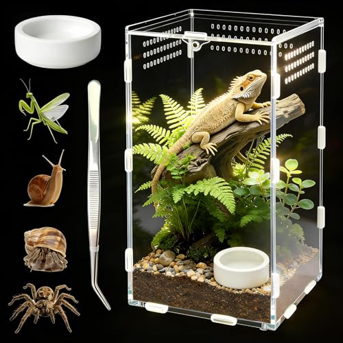 Jumping Spider Enclosure, Acrylic Terrarium(Tweezer and Bowl Included) | Easy-Clean Habitat with Magnetic Door for Spider, Tarantula, Mantis, Snail-5.9" x 5.9" x 9.8" - size: Basic Vertical-Kit
