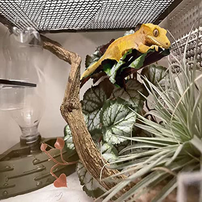 Woyrise Reptile Artificial Plants for Terrarium Decor, Amphibian Habitat Hideout Bearded Dragon Tank Decorations fit Crested Gecko Leopard Lizard Chameleon Ball Python Snake Frog - Saxifrage