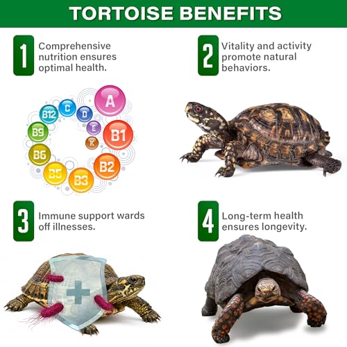 Gargeer Forest Jump - Forest Tortoise Multivitamin & Mineral Powder 2oz, Probiotics, Calcium & Vitamins for Red Foot, Yellow Foot & Hingeback Tortoises & All Forest Tortoises. Made in the USA. Enjoy!