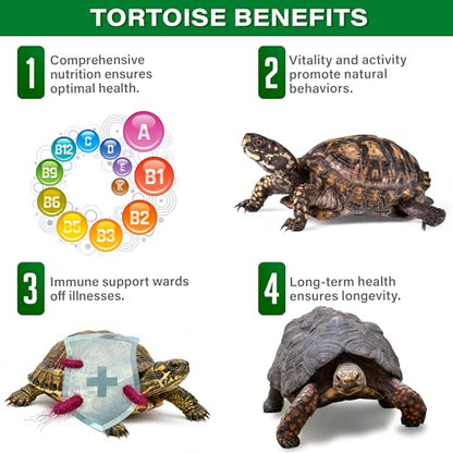 Gargeer Forest Jump - Forest Tortoise Multivitamin & Mineral Powder 2oz, Probiotics, Calcium & Vitamins for Red Foot, Yellow Foot & Hingeback Tortoises & All Forest Tortoises. Made in the USA. Enjoy!