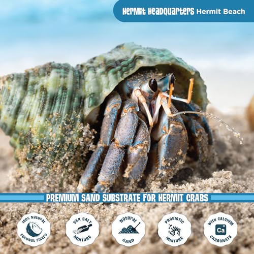 Fluker's All Natural Premium Hermit Crab Sand Substrate, Sand Mixture with Coconut Fiber, for Hermit Crab Tanks, 12 lbs. (Pack of 2) - size: 12 LBS (Pack of 2)
