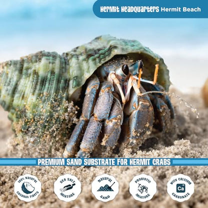 Fluker's All Natural Premium Hermit Crab Sand Substrate, Sand Mixture with Coconut Fiber, for Hermit Crab Tanks, 12 lbs. (Pack of 2) - size: 12 LBS (Pack of 2)