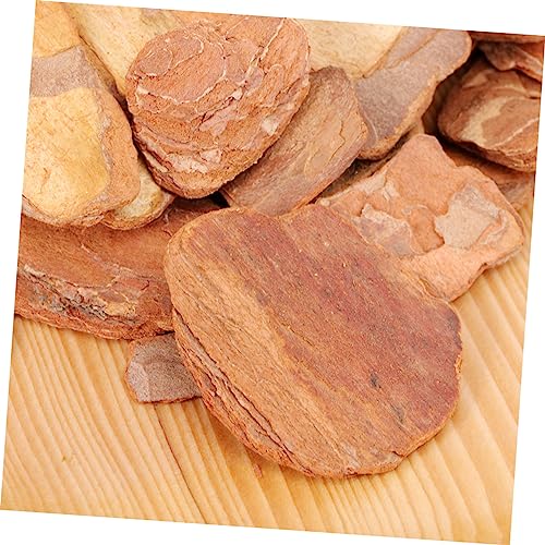 VANZACK 1pack Natural Pine Bark Cushion for Reptile Box Turtle and Lizard Habitat Decor for Snails Chameleons and Geckos Material