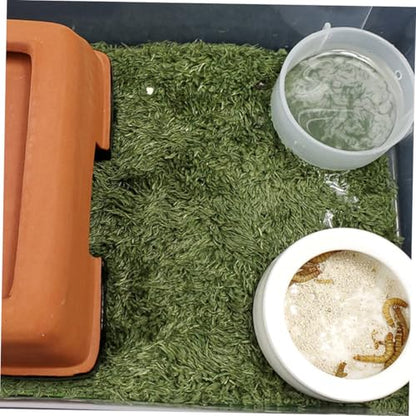 Hemoton 2pcs Reptile Tank Mats Green Grass Rug Rug Moisturizing Fake Lawn Sphagnum Moss for Reptiles