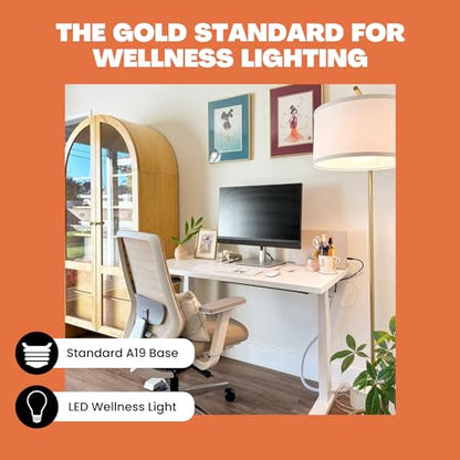 Norb NorbSMILE Full Spectrum Light Bulb | A19 LED Bulb & 11W 800 Lumens | 5000K Daylight White, CRI 96/97 & Dimmable E26 Base | Boosts Energy, Mood & Supports Circadian Rhythm | US Patented - style: Smile 11W (1 Pack)