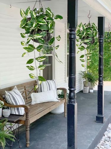 Oairse Artificial Hanging Plants Fake Hanging Plants with Pots Faux Golden Pothos N‘ Joy Potted Plant Wall Plant with Basket Pot for Wall Shelves Bedroom Bathroom Indoor Outdoor - color: Golden Pothos