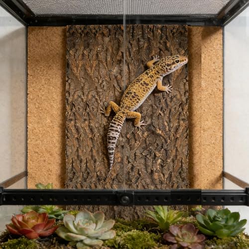 Cork Bark for Reptiles - Natural Terrarium Climber | Water-Resistant Cork Bark for Climbing, Exercise, and Hiding, Perfect Snakes, Lizards, Tortoises, Geckos, Turtles, Chameleons, Pet Terrariums