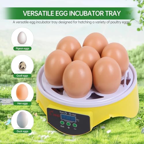 7-Egg Mini Egg Incubator with 360° View, Educational Hatching Kit for Kids, Classrooms & Families, Automatic Temperature Control & Manual Humidity Control, Suitable for Chicken, Duck & Quail Eggs