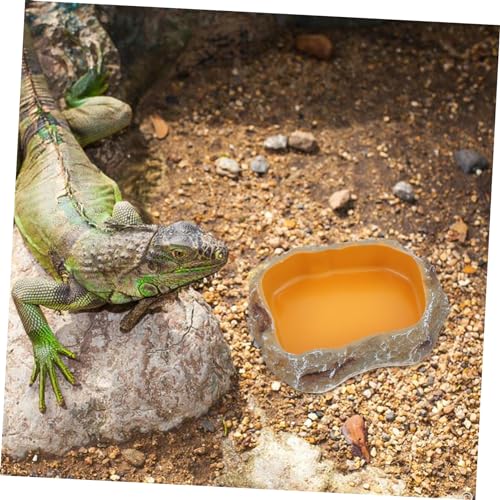 Reptile Water Feeder Durable Pet Drinking Tool for Lizards Geckos Animals Easy to Unique Design for Feeding Hydration Needs
