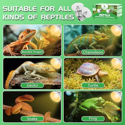 Reptile Heat Lamp Bulbs, UVA Reptile Heat Bulb 2 Pack, 40 Watt Heat Light Bulbs, Daylight Basking Spot Light for Lizard, Bearded Dragon, Snake, Gecko - color: 40*2
