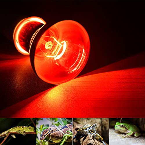 100W Infrared Heat Lamp Bulb E26 Base Red Basking Spot Light for Reptile Terrarium, Non-Disruptive Night Heater for Bearded Dragons Snake Turtle and Amphibian 2 Pack