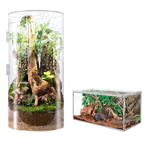 6*6*12in & 8*4*4in Front Opening Arboreal Tarantula Enclosure