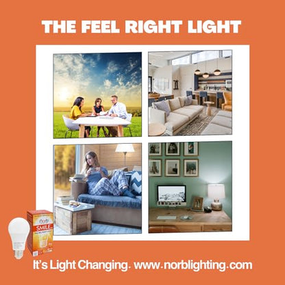 Norb NorbSMILE Full Spectrum Light Bulb | A19 LED Bulb & 9W 720 Lumens | 5000K Daylight White, CRI 96/97 & Dimmable E26 Base | Boosts Energy, Mood & Supports Circadian Rhythm | US Patented - style: Smile 9W (1 Pack)