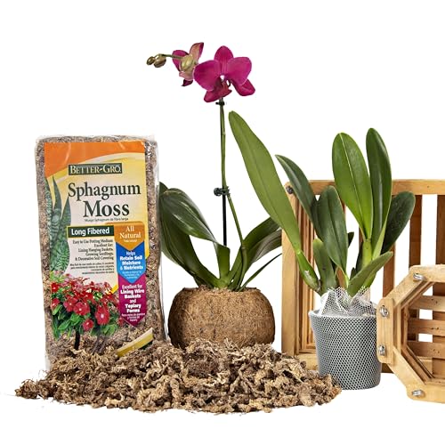 Better-Gro Sphagnum Moss - 100% Natural, Long-Fiber Moss for Orchids, Ferns, and Hostas, Excellent for Hanging Baskets and Propagating Plants - 240 Cubic Inches (Pack of 12) - size: Single (Pack of 12)